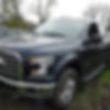 1FTEX1EP1GFA93972-2016-ford-f-150-0