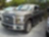1FTEW1CP1GFB41587-2016-ford-f-150-0