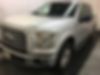 1FTEW1C85GFA18934-2016-ford-f150-0