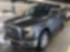 1FTEW1EP5GFB66389-2016-ford-f-150-0