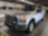 1FTEW1EF7FKD38385-2015-ford-f-150-0