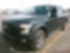 1FTEW1EF4GFC22894-2016-ford-f-150-0
