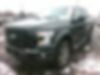 1FTEW1EP7FKF09502-2015-ford-f-150-0