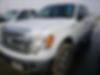 1FTFW1ET3DKF03792-2013-ford-f-150-0