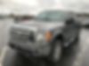 1FTFW1ET8BFC80445-2011-ford-f-150-0