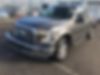 1FTEX1EP9FKD24624-2015-ford-f-150-0