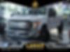 1FT7W2BT2HEC80129-2017-ford-f-250-0