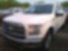 1FTEW1EF0GFB57316-2016-ford-f-150-0