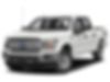1FTEW1EP0KFB56409-2019-ford-f-150-0