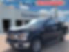 1FTEW1CP6KKD89009-2019-ford-f-150-0