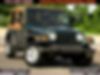 1J4FY19S1XP424215-1999-jeep-wrangler