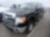 1FTFW1ET4DFC90375-2013-ford-f150