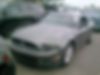 1ZVBP8AM1D5272101-2013-ford-mustang