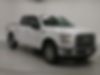 1FTEW1EP9HFA08588-2017-ford-f-150