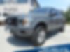 1FTEW1E51JFB62491-2018-ford-f-150-0