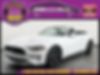 1FATP8UH0K5106516-2019-ford-mustang-0