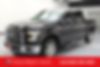 1FTEW1CP4GKF63604-2016-ford-f-150