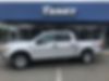 1FTEW1E84FFB25260-2015-ford-f-series-0