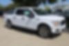 1FTEW1CP7KKD70758-2019-ford-f-150-0