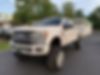 1FT7W2BT2HED83339-2017-ford-f-250-1