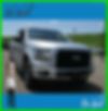 1FTEW1EP0GFC73589-2016-ford-f-150