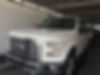 1FTEW1EP7GFA07003-2016-ford-f-150-0