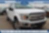 1FTEW1EP8KFA55425-2019-ford-f-150