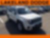 ZACNJABB2KPJ97805-2019-jeep-renegade-0