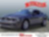 1ZVBP8AM2E5302451-2014-ford-mustang-2