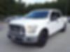 1FTEW1CP1GFD31017-2016-ford-f-150