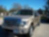 1FTFW1ET6DFB53096-2013-ford-f-150-0