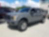 1FTEW1E51JFB62491-2018-ford-f-150-0