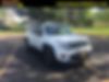 ZACNJAD10KPK23936-2019-jeep-renegade-0