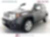 ZACCJBDT8GPD10282-2016-jeep-renegade-0