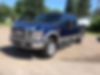 1FTSW21R69EA44911-2009-ford-f-250-0