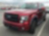 1FTFW1EFXDFC02715-2013-ford-f150-0
