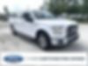 1FTEW1CP3FKE13594-2015-ford-f-150-0