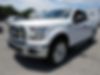 1FTEX1EP8FFB04318-2015-ford-f-150-2