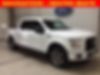 1FTEW1EP3HKD18730-2017-ford-f-150-0