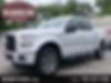 1FTEW1EF7GFD08006-2016-ford-f-150-0