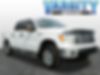 1FTFW1EF9BFD26231-2011-ford-f-150-0