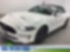 1FATP8FF4K5104179-2019-ford-mustang-0