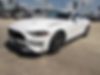 1FA6P8TH6K5135839-2019-ford-mustang-1