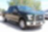 1FTFW1EF9FKD09989-2015-ford-f-150-0