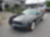 1ZVBP8AN5A5109357-2010-ford-mustang-0