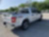 1FTEW1CP7KKD03450-2019-ford-f-150-2