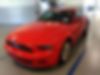 1ZVBP8AM3D5273220-2013-ford-mustang