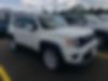 ZACNJBBB5KPK30348-2019-jeep-renegade-2