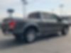1FTEW1EPXHFA07532-2017-ford-f-150-2
