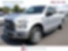 1FTEX1EP1GFD07276-2016-ford-f-150-0